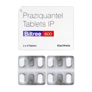 The image shows a box of Biltree 600, which contains Praziquantel Tablets IP. The white rectangular box features the brand name in a blue and red label and the manufacturer name, Kachhela. Below the box are two silver blister packs, each containing four white, oval-shaped tablets. The packaging indicates a quantity of 2 x 4 Tablets.