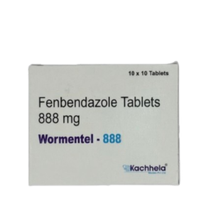 A front view of a white rectangular medicine box for Wormentel-888. The text on the box identifies the contents as Fenbendazole Tablets 888 mg. In the top right corner, it specifies a quantity of "10 x 10 Tablets." The manufacturer's logo, Kachhela Medex Pvt. Ltd., is visible in the bottom right corner.