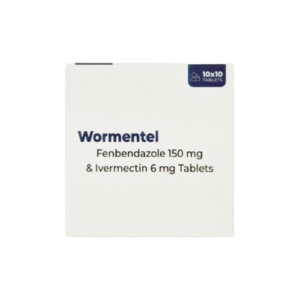 A front-facing view of a plain white rectangular medicine box for Wormentel. The text on the box identifies the contents as Fenbendazole 150 mg & Ivermectin 6 mg Tablets. In the top right corner, a small dark blue tab indicates a quantity of 10x10 TABLETS next to a pill icon. The brand name "Wormentel" is printed in a bold, dark blue font.