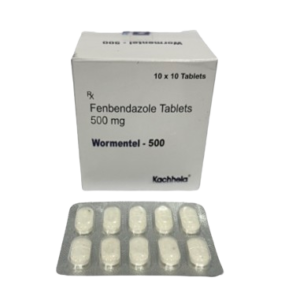 A product box and blister pack for Wormentel-500, containing Fenbendazole Tablets 500 mg. The white box is labeled with the brand name and "10 x 10 Tablets," indicating a total of 100 tablets per box. In the foreground, a silver foil blister strip contains ten white, oblong-shaped tablets. The manufacturer name, "Kachhela," is printed at the bottom right of the box.