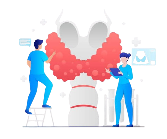 Thyroid Care